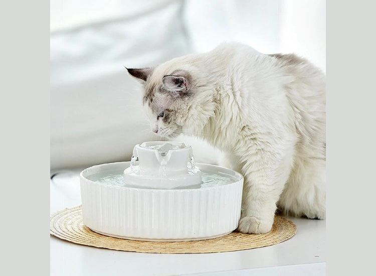 CATSY | Fontaine à eau Cupcake en céramique blanche 2,1L