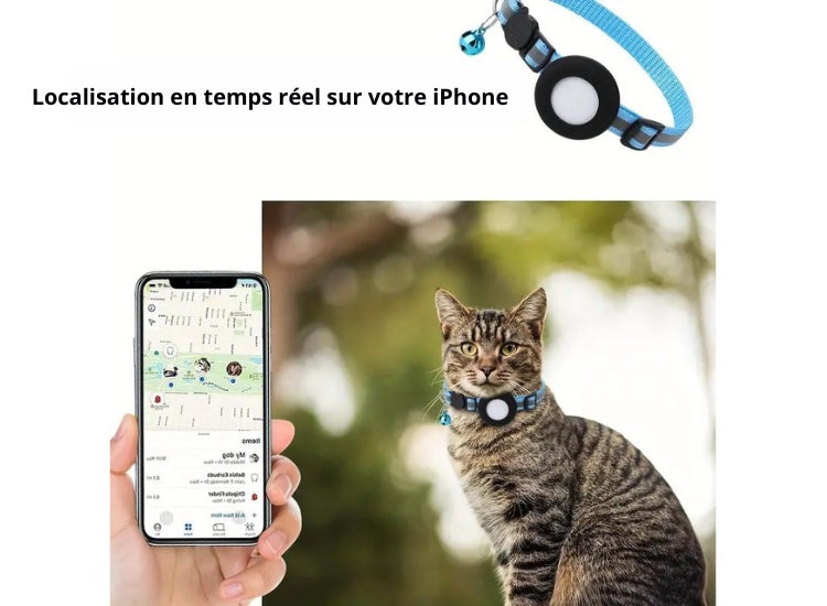 CATSY | Collier pour chat étui Airtag