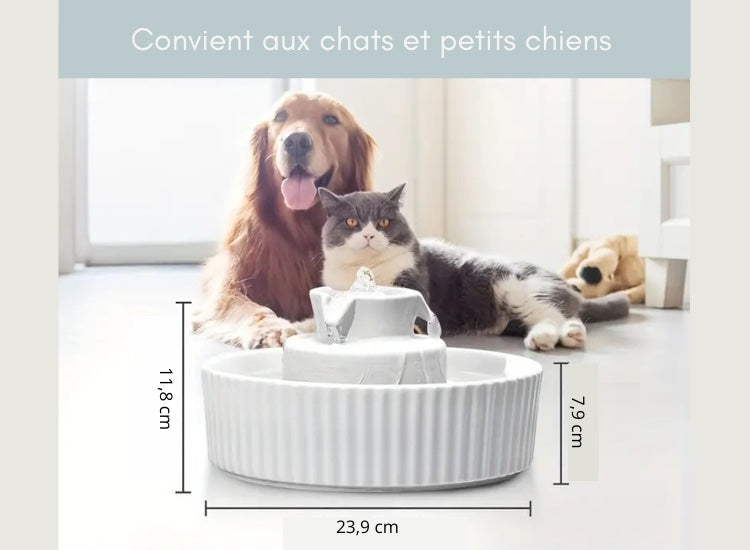 CATSY | Fontaine à eau Cupcake en céramique blanche 2,1L