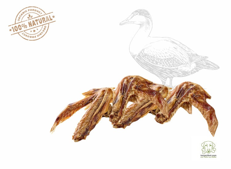 LE DELI CAT | Chiens | Ailes de canard 100% naturelles