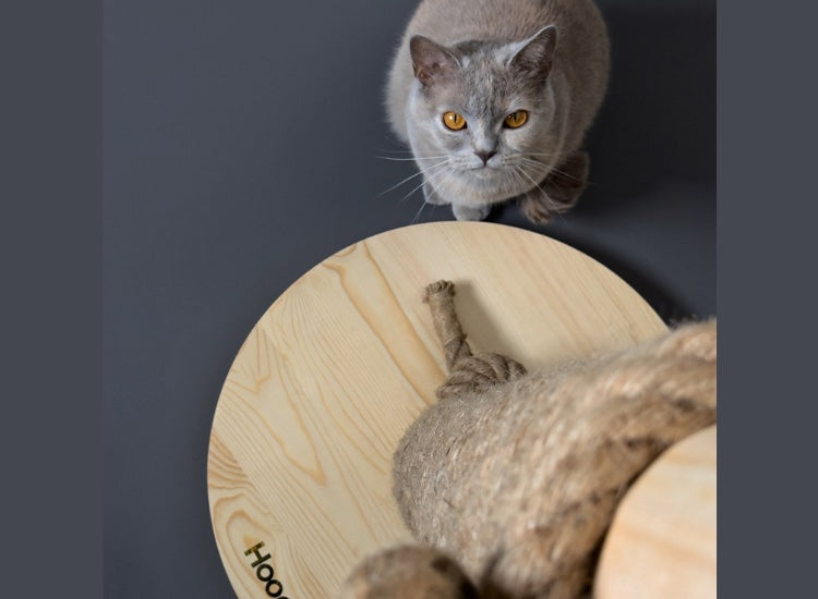 HOOPO® | Griffoir totem naturel pour chat