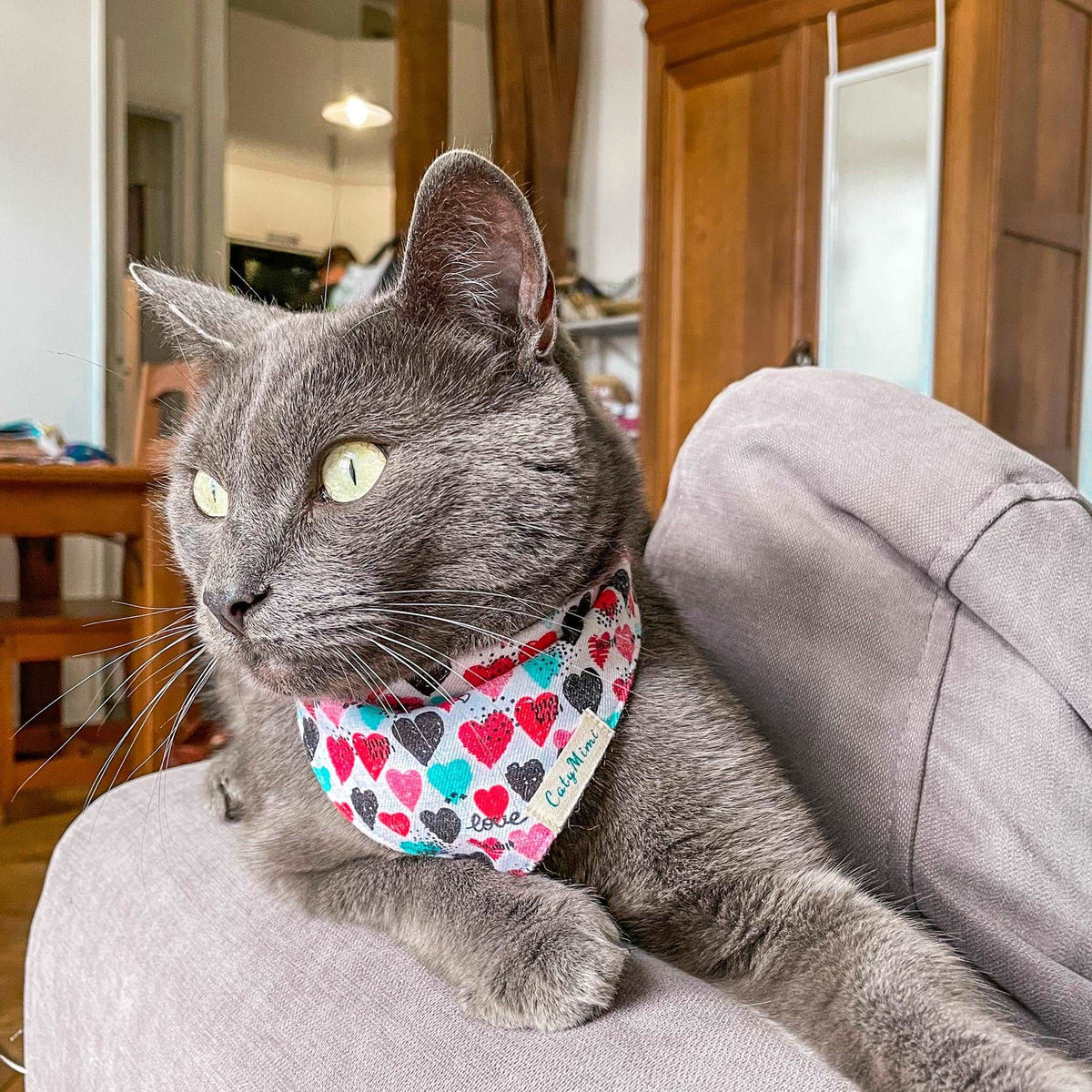 Bandana pour chat pas cher foulard chats accessoires cat collar collier