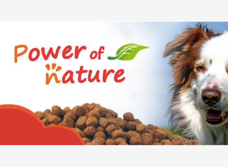 Croquettes pour chien Meadowland Dog Power of Nature