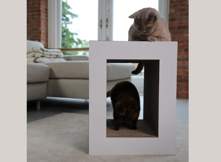 HOOPO® | Table griffoir en carton pour chat