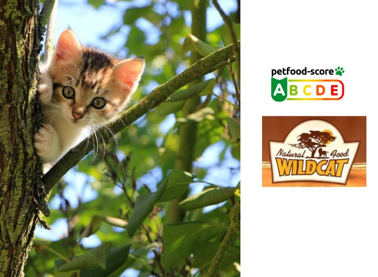 WILDCAT | Croquettes pour chaton Karoo