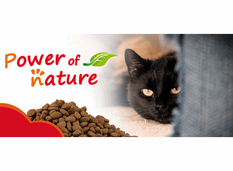 power of nature alimentation pour chat
