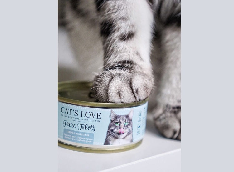 CAT'S LOVE | Pure filets de saumon 100% filets