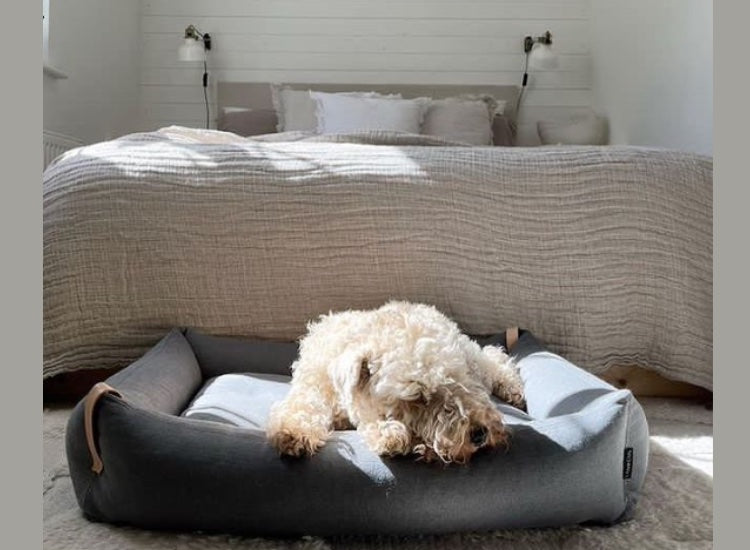 LABBVENN | Lit pour chien Confort et Design MOE